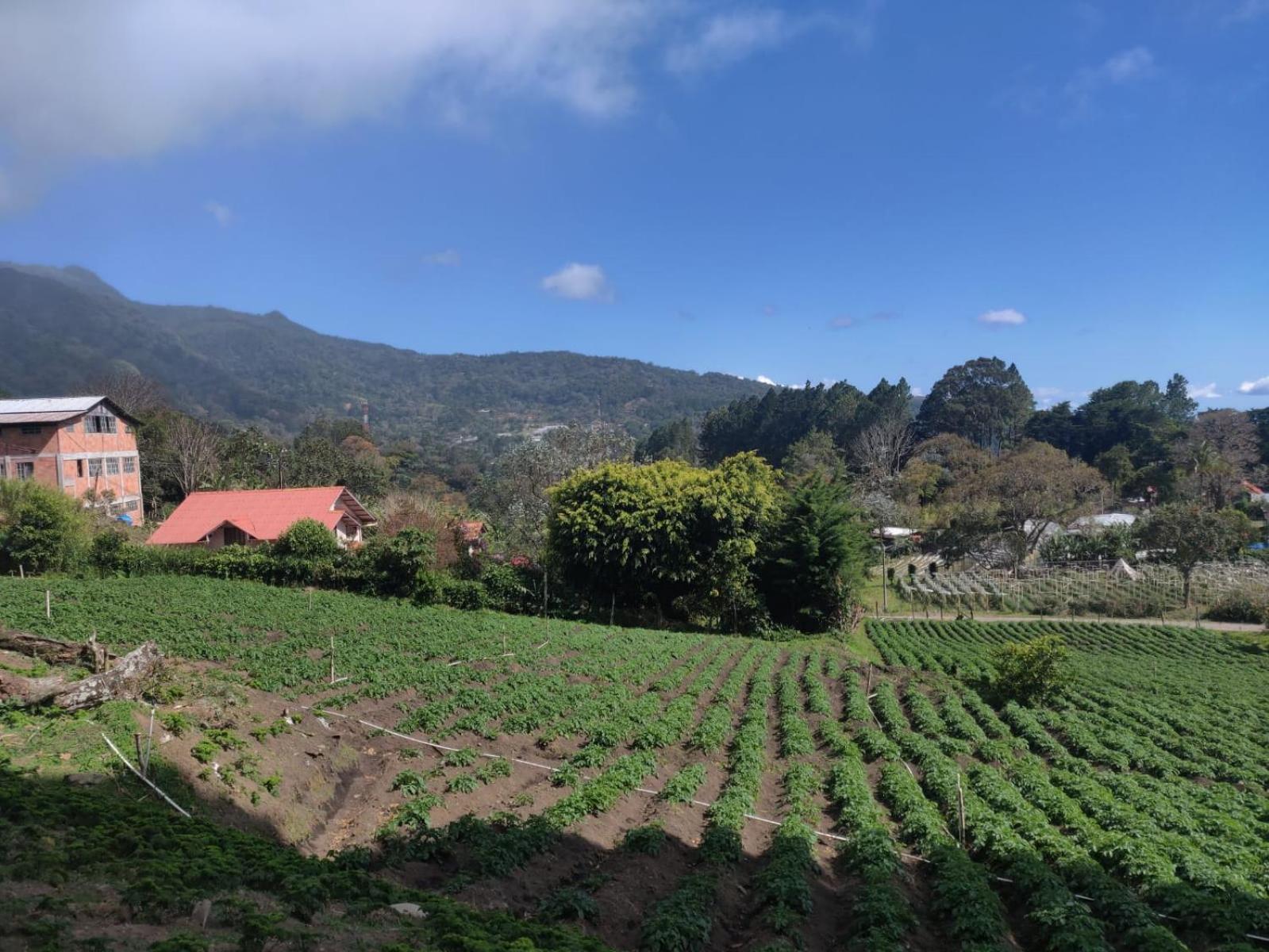 Agartha Mountain Retreat Hostel Boquete Ngoại thất bức ảnh